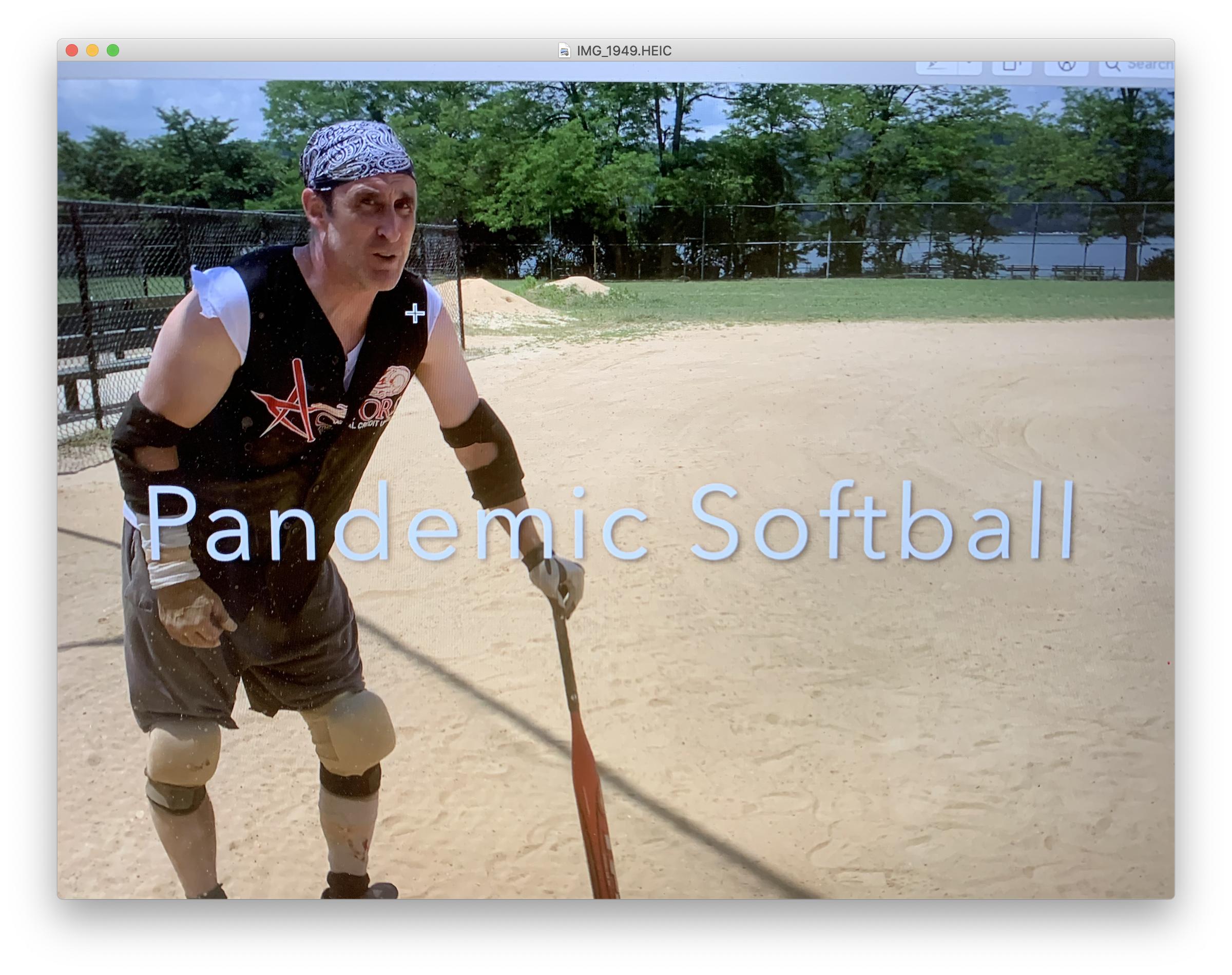 Pandemic Softball